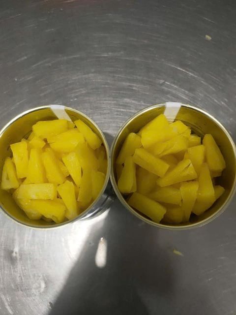 Premium Canned Pineapple Slices Chunks Tidbits in Syrup Bulk Packing for Wholesale Export - Image 2
