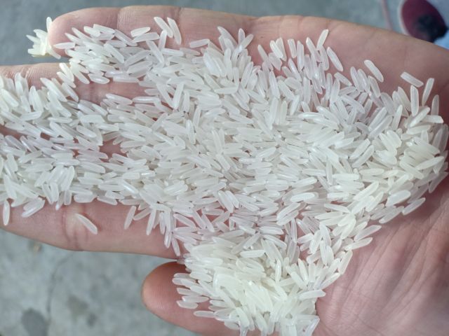 Long grain Jasmine Fragrant Rice 5kg 10kg 20kg 50kg Jumbo 1ton Riz Au jasmin Arroz whatsap 0084 989 322 607 - Image 5