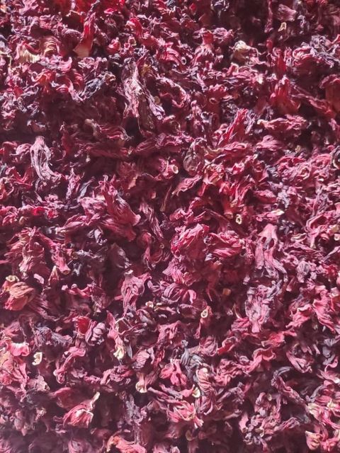 Full hibiscus flower – product photo 4, product detail gallery