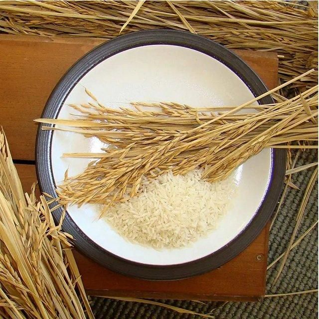 Premium Sella Basmati Rice With Naturally Delicious Flavor High Purity And Premium Quality For Every Kitchen Need - Image 1