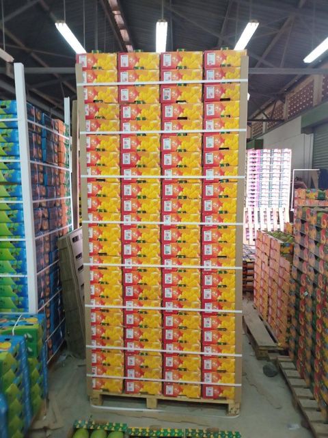 Herbs and vegetables Origin Kenya Aroma Aromatic Fiber Content Low Shape Apple-shaped Freshness Fresh From Farm Scientific Name Mangifera Indica - Image 2
