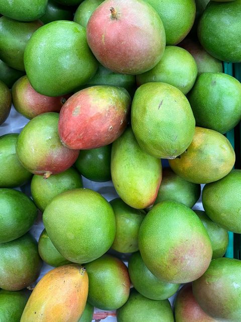 Premium Brazilian Mango Variety Pack Including Ataulfo Mango, Kent Mango, Keitt Mango, Palmer Palmer and Tommy Atkins - Image 4