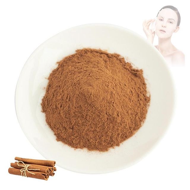 100% Pure Ceylon Cinnamon Powder Food Grade Pure Spices Ceylon Cinnamon Powder - Image 4
