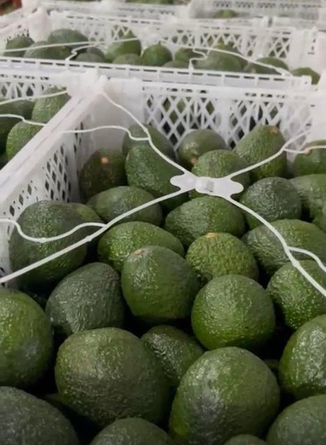 Fresh hass Avocado – product photo 2, product detail gallery