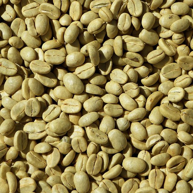 Selected Robusta Coffee Bean For International Buyers Looking For Uniform Size And Fresh Robusta Coffee Bean Production - Image 1
