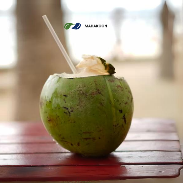 Premium Fresh Coconut From Thailand Sweet Organic Fresh Coconut Premium Quality From Thailand Best Seller with Easy Opener - Image 2