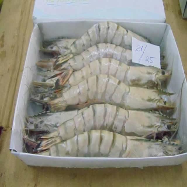 Fresh fish - Image 3
