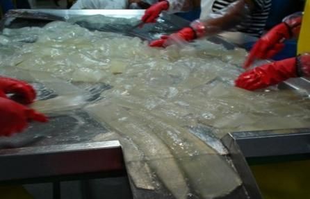 Organic aloe vera pulp - Image 2