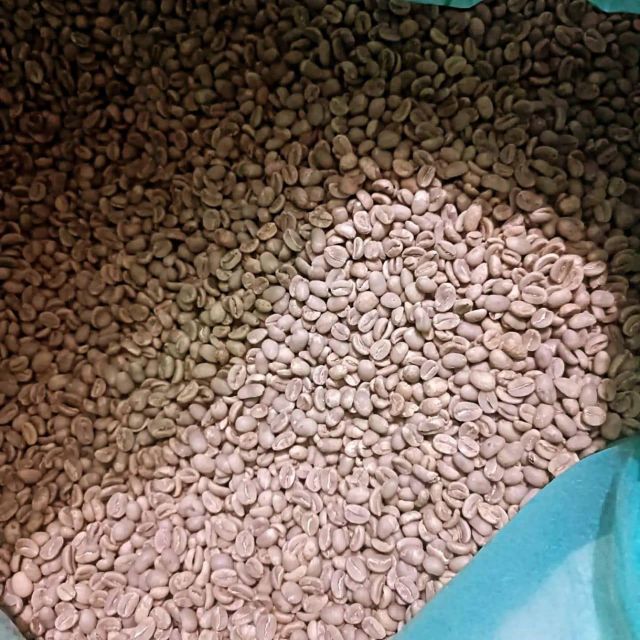 Arabica Coffee Beans Toraja, Indonesia Grade 1 Moisture Content 12% Origin Toraja, Indonesia Altitude 1,200 – 1,800 - Image 1