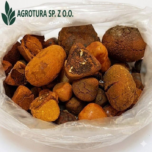 Premium Wholesale Cow Ox Gallstones – High Purity Natural Bovine Gallstones for Traditional Medicine and Pharmaceutical Use, Carefully Selected and Processed for Maximum Quality, Consistency, and Global Export Supply with Custom Packaging and Reliable Bulk Delivery Options - Image 3