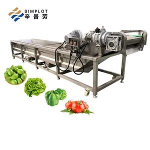 Commercial Large Capacity Bubble Washing Machine Fruit Vegetable Seafood Processing Line Equipment - Image 1
