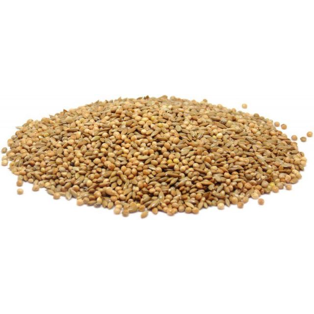 Wholesale canary seeds in bulk packaging for sale worldwide - Image 4