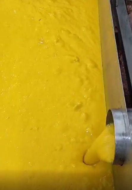 Fruits and Vegetable Pulper Machines Pulp Yield High-yield Manufacturer SS Steel Quality Standard Export-quality Processing Type Fruits and Vegetable - Image 4