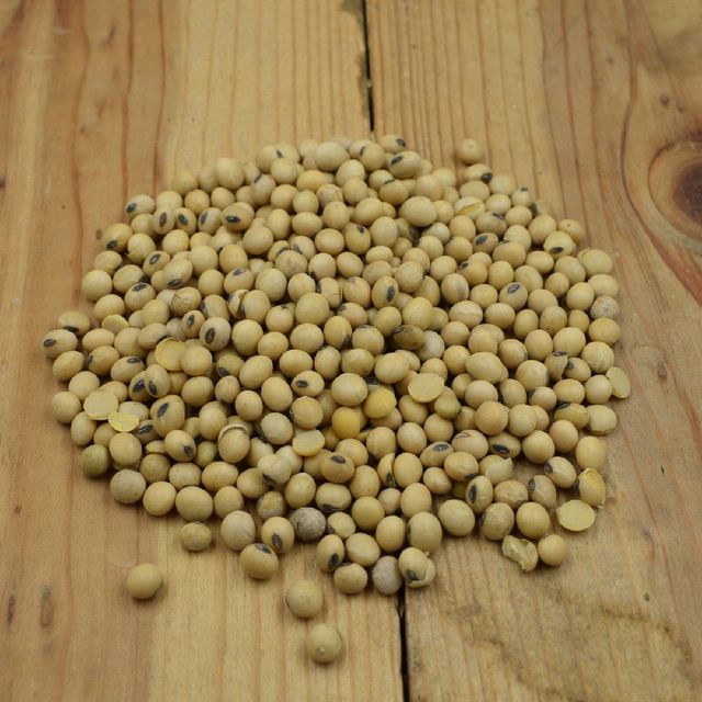 Early Maturing Soybean Seed Fast Growing Soybean Seed Ideal For Multiple Harvests And Efficient Field Management - Image 4