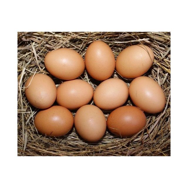 Brown chicken eggs farm fresh collection high quality daily nutrition wholesale supply - Image 1