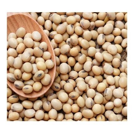 High Protein Quality Soybean Meal / Soya Bean Meal for Animal Feed /Top Quality Organic Soybean meal 42% Protein - Image 4
