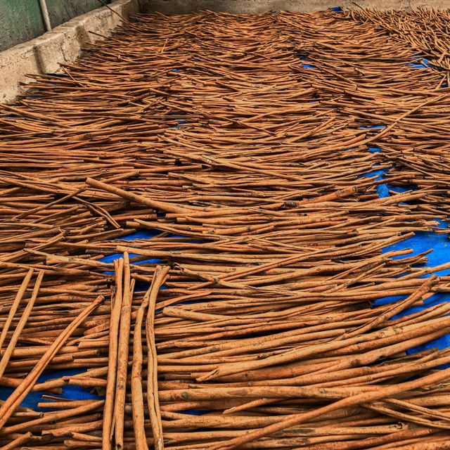 Cassia Stick/Cassia Quills Size 7 – 8 cm Packaging Details 10 kg carton box Variety Cassia Cinnamon (Cinnamomum - Image 3