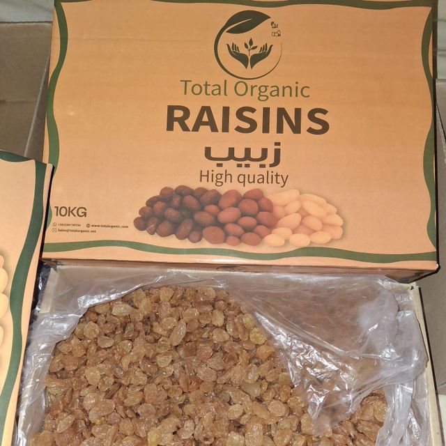 Raisin - Image 1