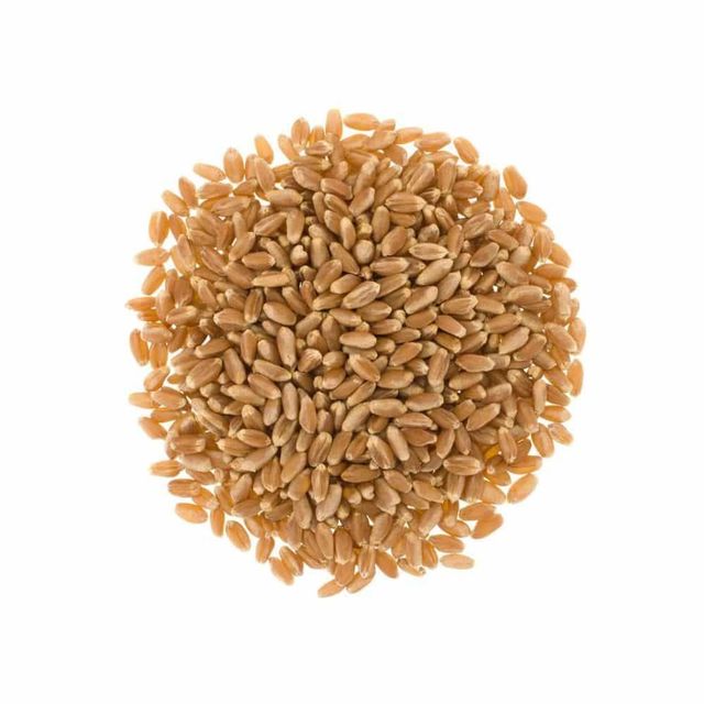 Milling Grade Durum Wheat With Uniform Wheat Size And Purity For International Grain Buyers - Image 4