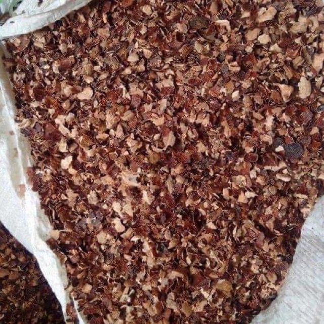 Cashew Husk - Image 4