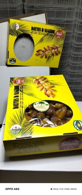 Premium Algerian Dates Deglet Nour 2026, DRIED DATES Grade A, Packaging 5KG Brand Name AGROBDT Technical Specification According to CODEX STAN 143-1985 & ISO 16649-2 - Image 5