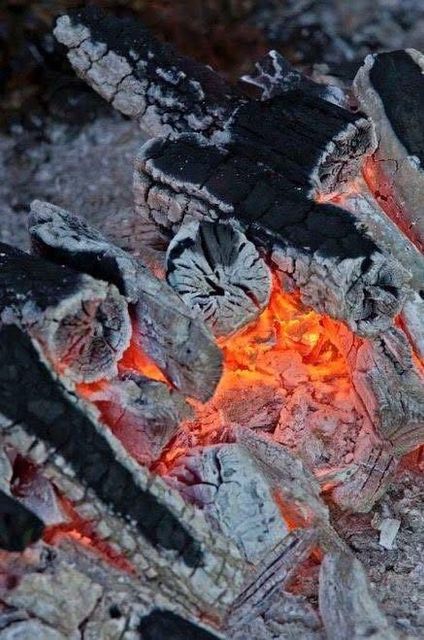 Hardwood charcoal - Image 3