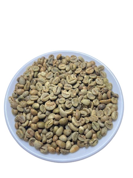Robusta Green Coffee Beans – Grade 1 – product photo 1, product detail gallery