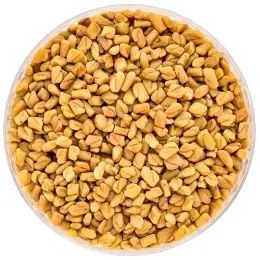 Fenugreek Seed - Image 1