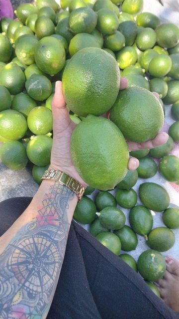 green lemon - Image 3