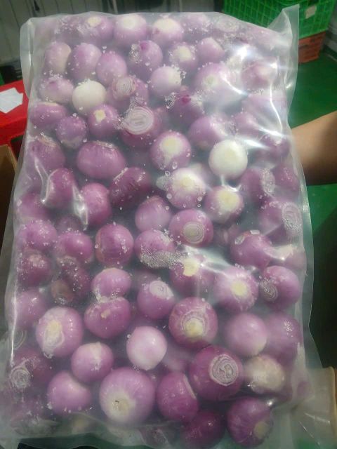 Frozen purple onion Shelf Life 24 Months Place of Origin Vietnam Storage Temperature -18°c Freezing Temperature -30°c Packaging PA/PE or a bulk, Pa/pe Bag Or Bulk - Image 1