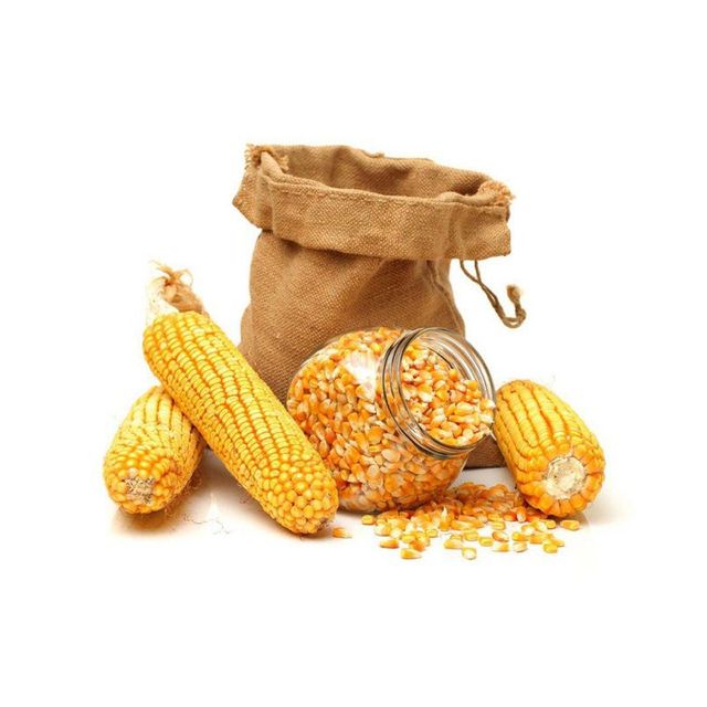 Premium Export Quality Yellow Kernel White/Yellow Maize For Global Importers With Bulk Packed Grain Supply - Image 5