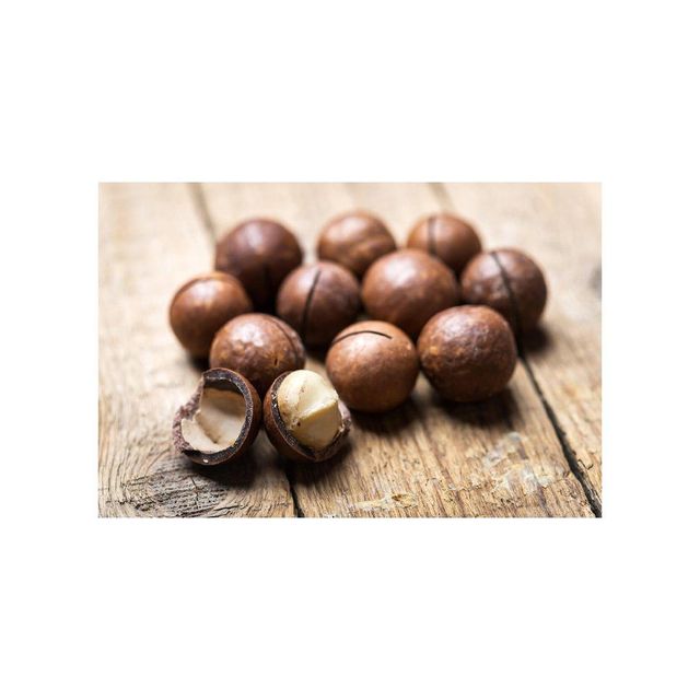 Bulk supply Macadamia nuts wholesale top grade premium export quality - Image 4