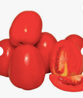 Wholesale Supplier of Fresh Tomato / Cheap Fresh Tomato. Fresh Tomato For Sale. Free Shipping Worldwide - Image 4