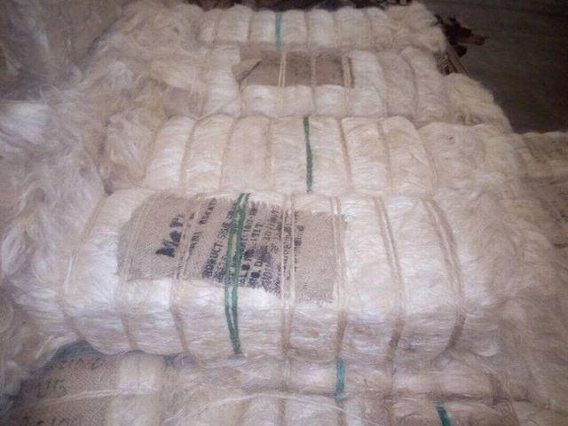 100% Natural Sisal Fiber Factory Prices - Sisal Fiber, Buy From Sisal Fiber Supplier - Image 4
