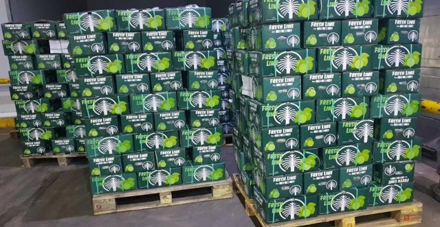 Wholesale Fresh Seedless Lime – Export Quality Vietnam Green Lime Supplier - Image 3