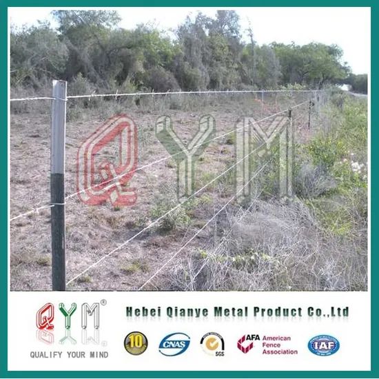 Hot Dipped Galvanized Barbed Wire Razor Barbed Wire Price Per Roll - Image 5