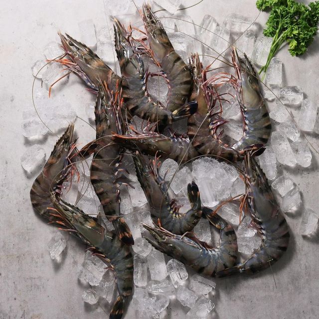 Frozen Tiger Shrimps Superior Seafood Collection Featuring 100% Ocean Harvest Quality And Remarkable Buyer - Image 2
