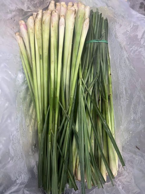 Lemongrass Flavor Lemony Aroma Fresh Citrus Origin National, Regional Essential Oil Content High Vegetable Type Root Vegetables - Image 5