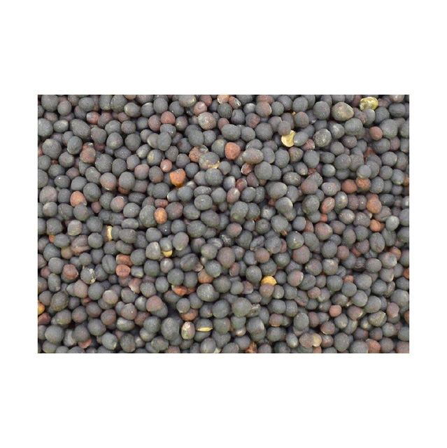 Affordable rapeseed wholesale ideal for agriculture and oil processing - Image 4