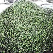 Vietnam Betel Nut - Bulk Supply Best price Free tax – product photo 5, product detail gallery