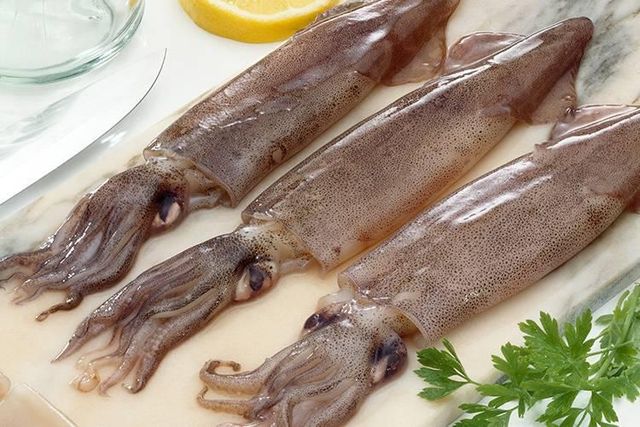 FROZEN ILLEX SQUID - Image 2