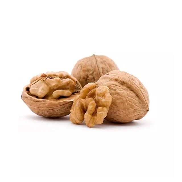 Wholesale walnuts bulk supply low price fresh and healthy dry fruits - Image 3