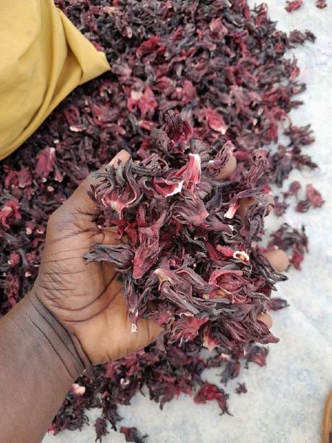 Hibiscus Grade A Packaging 25kg bags Max. Moisture (%) maximun - Image 1