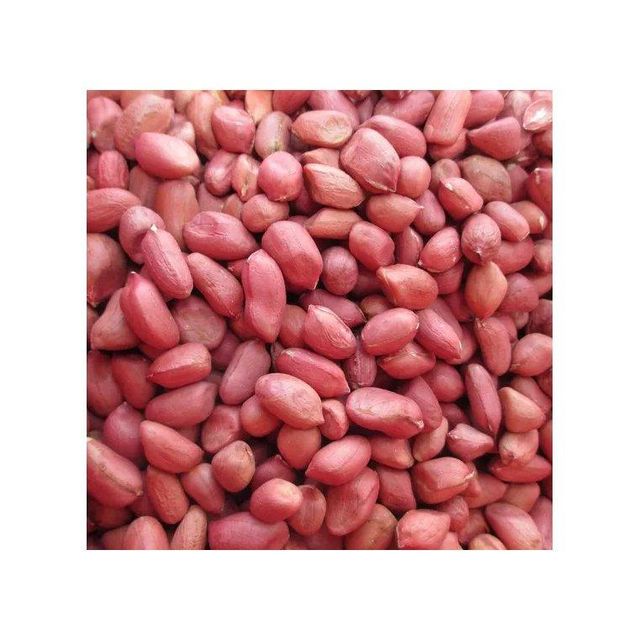 Fast delivery Peanuts bulk supply wholesale premium fresh stock - Image 4