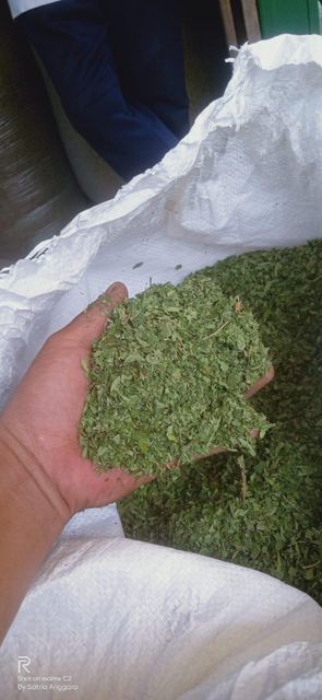 Kratom 30-Mesh Crushed Leaves (Premium Grade) - Image 3
