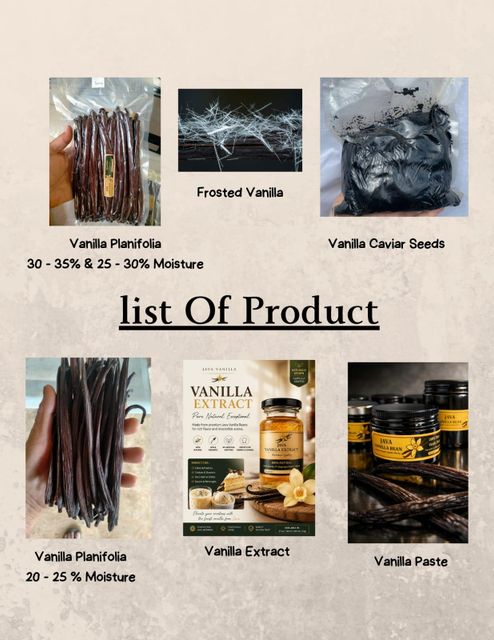 Vanilla Beans / Planifolia - Image 3
