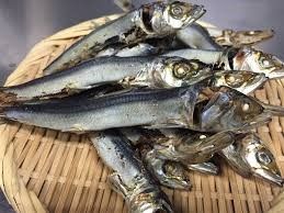 High quality Japanese seafood Fish Meal for sale use for dashi powder and seafood condiment and pet food - Image 3