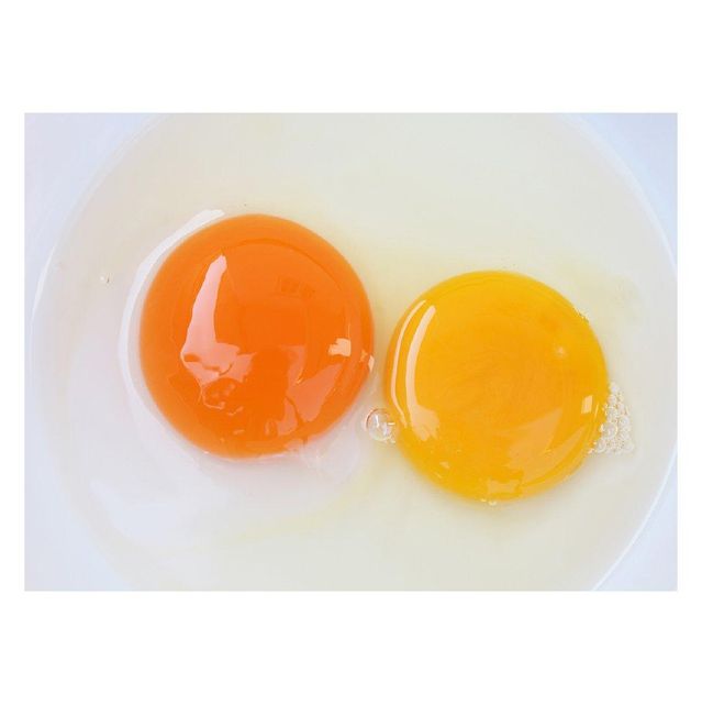 Freeze-Dried Pet Egg Yolk Whole Egg Yolk Freeze-Dried Raw Egg Yolk Cat and Dog Training Reward Snacks Factory Wholesale Freeze-Dried Pet Egg Yolk Whole Egg Yolk Freeze-Dried Raw Egg Yolk Cat and Dog Training Reward Snacks Factory Wholesale - Image 3
