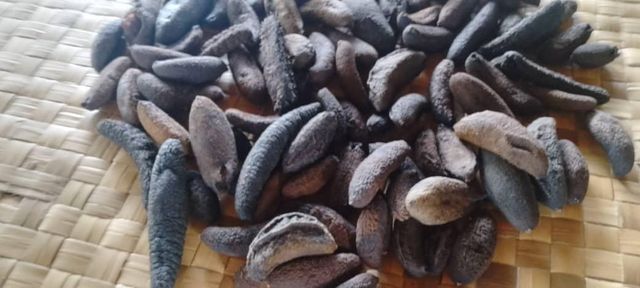 Dried sea cucumber - Image 3