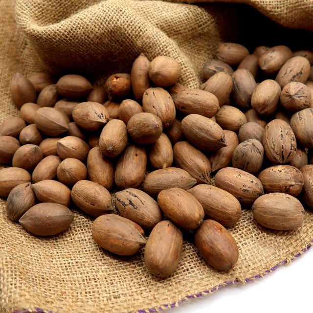 Pecan large pieces raw are fresh from Northern Cape, South Africa - Image 3